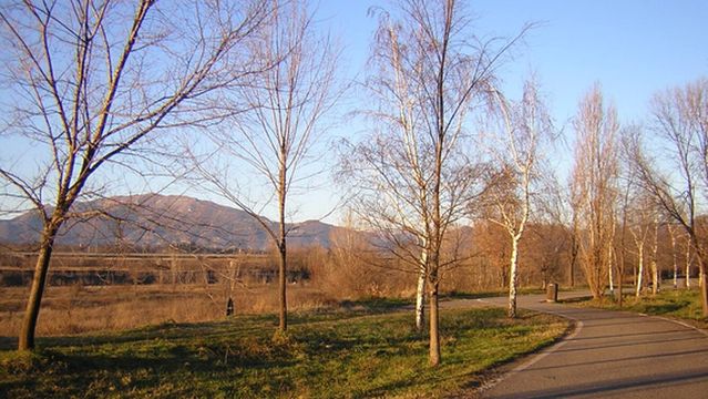 Parco Giovanni Callioni