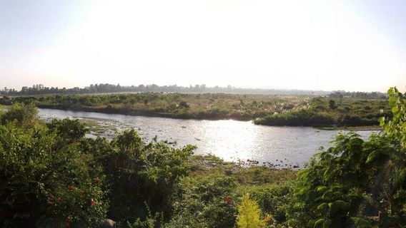 Song River