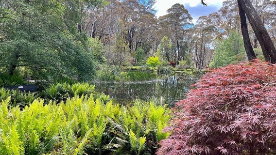 Campbell Rhododendron Gardens