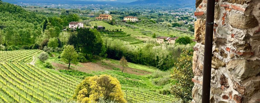 Fattoria Colle Verde