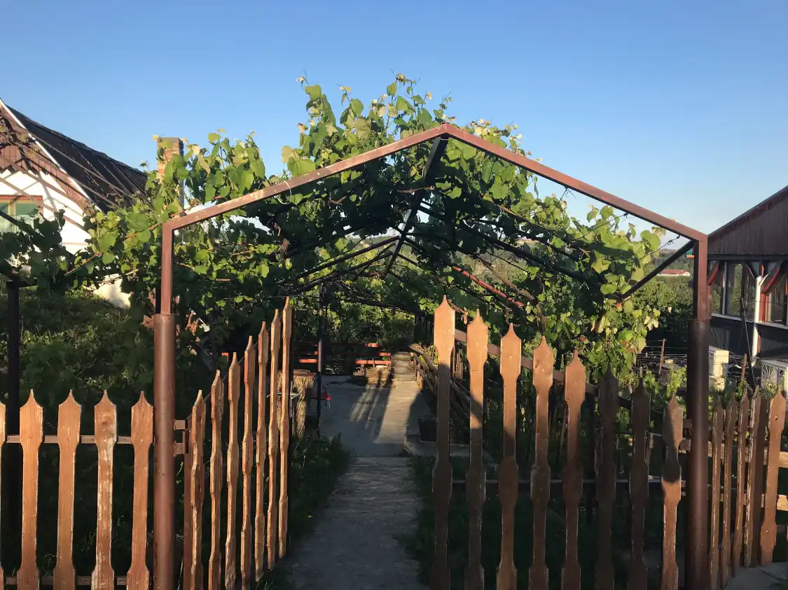 Hotels near Egregy cellars