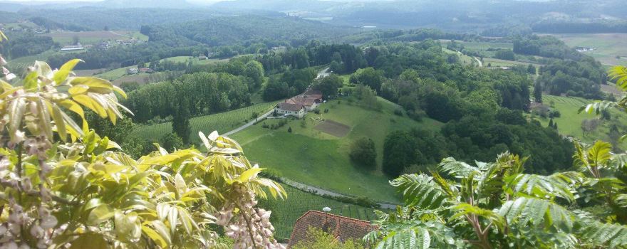 Weinhof Platzer