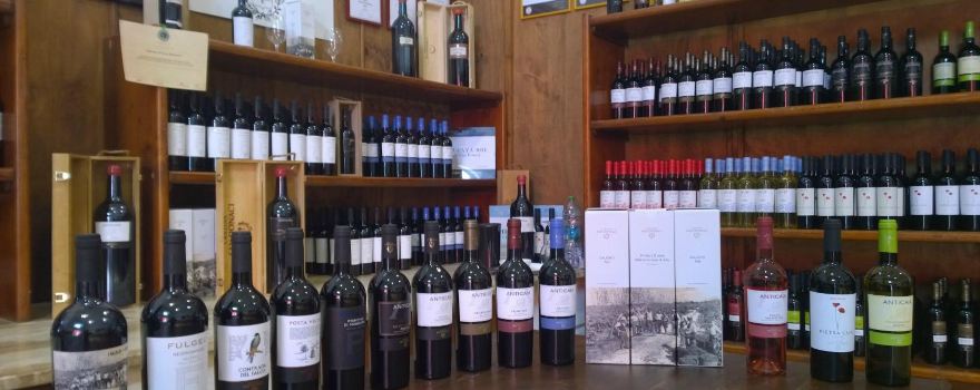 Cantina San Donaci