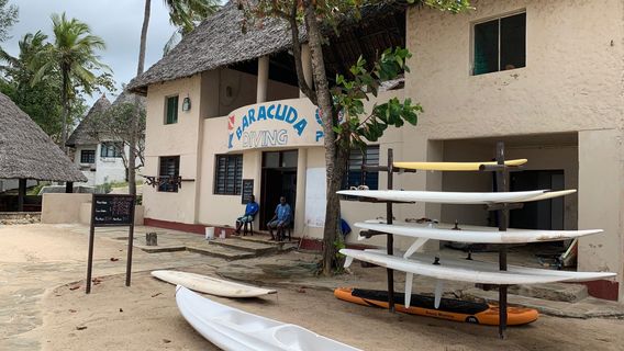 Baracuda Diving Kenya