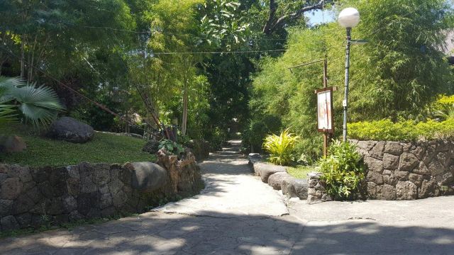 Mary Immaculate Parish Nature Church