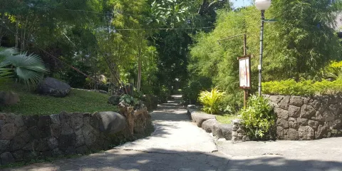 Mary Immaculate Parish - Nature Church