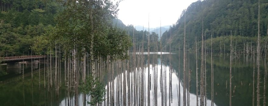 Lake Shizen.