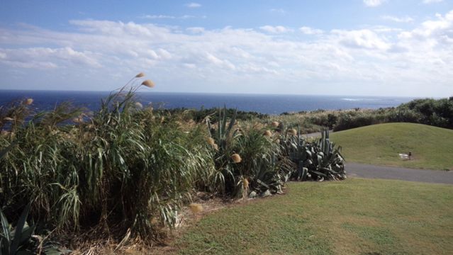 Ocean Links Miyakojima