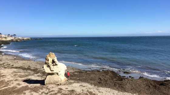 Mitchell's Cove Beach