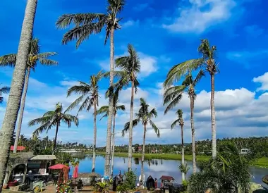 Daraga
