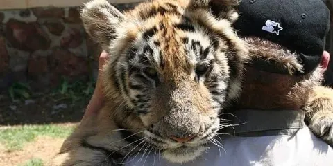 Wokutakula Wildlife Education