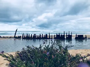 Trinculo Shipwreck