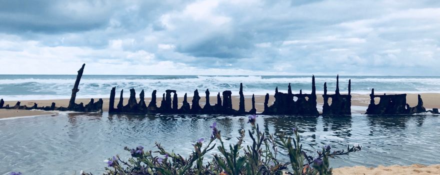 Trinculo Shipwreck