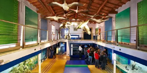 Museo di Storia Naturale della Maremma