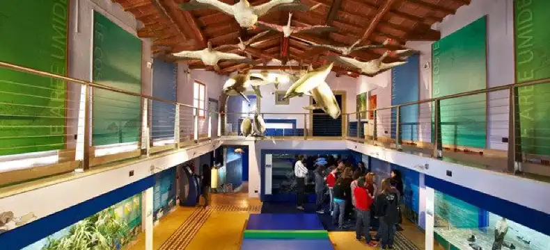 グロッセートのホテル