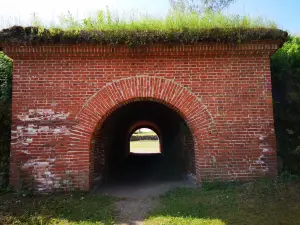 Taavetti Fortress