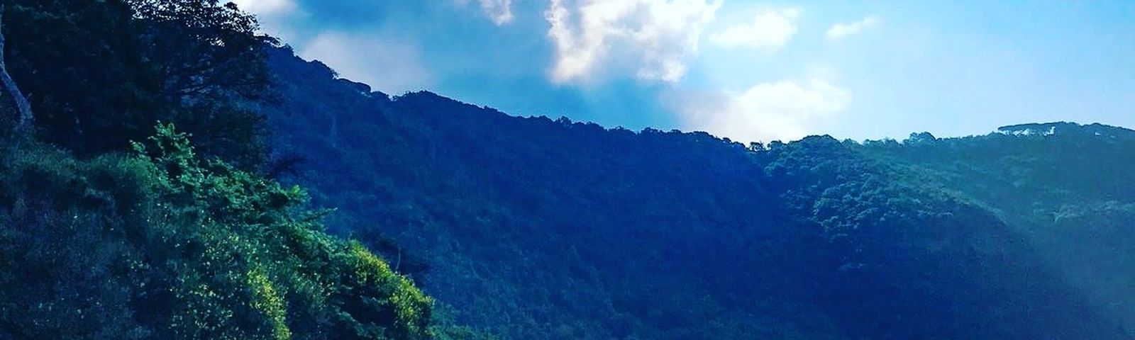travel