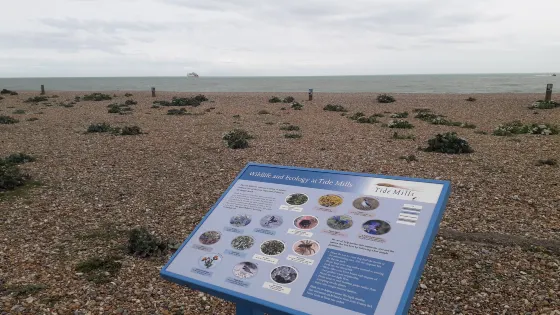Tide Mills
