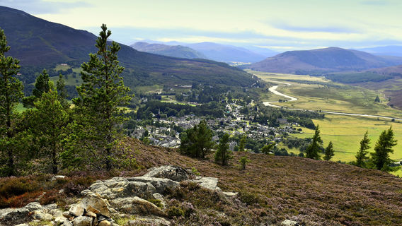 Creag Choinnich