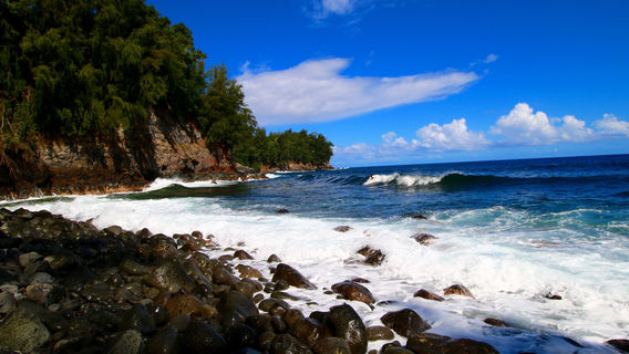 BIGA Hawai'i