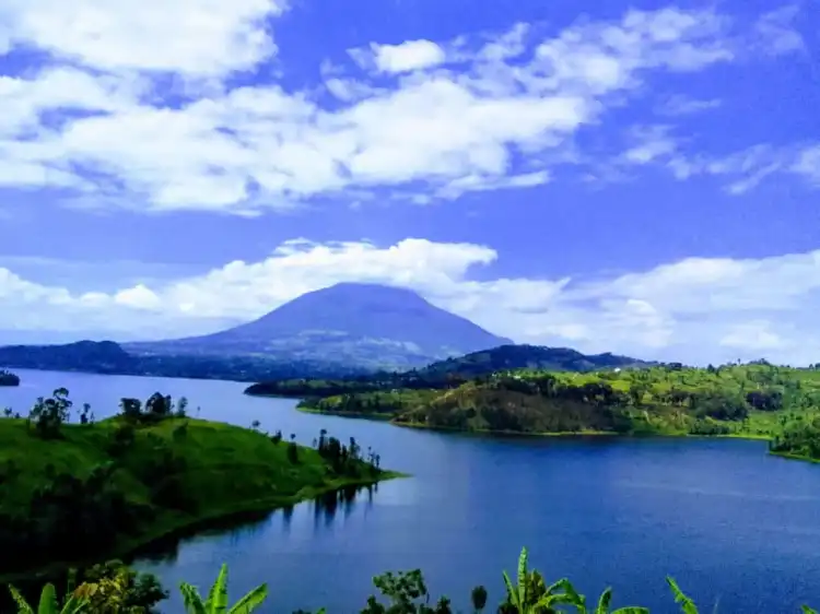 Burera