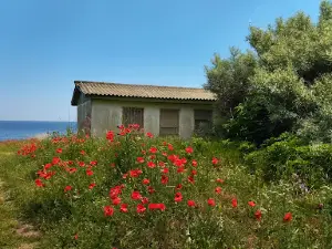 Bungala "Panorama"