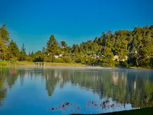 Los azufres