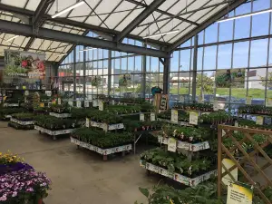 Magasin Vert PLERIN