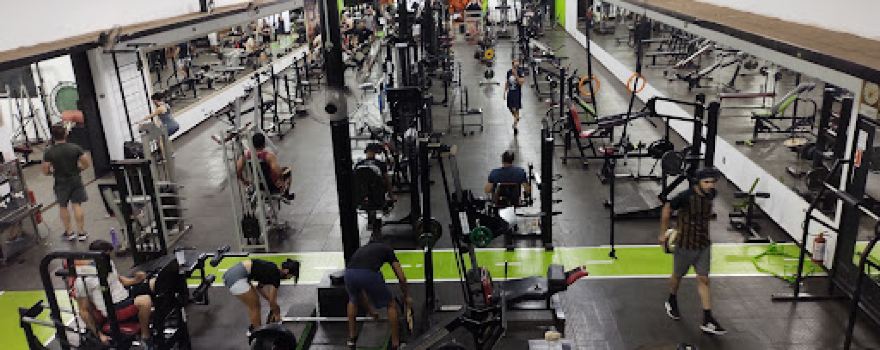 Academy Fitness Station