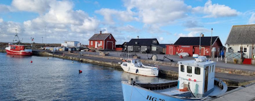 Vikens hamn