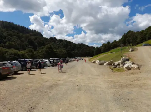 Waipu Caves Farm Park