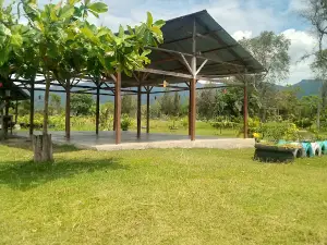 Pantai Pal 7