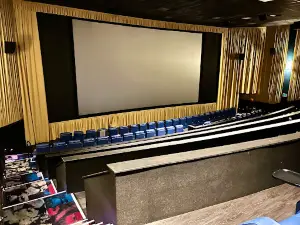 Roxy Stadium 14