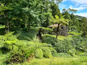 Reserva Florestal de Recreio da Silveira