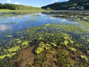 South Sabula Lake Campground