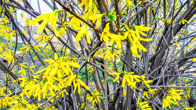 Third Theatre of Pécs