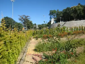 MZU Park
