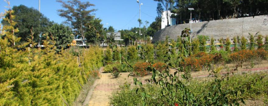 MZU Park