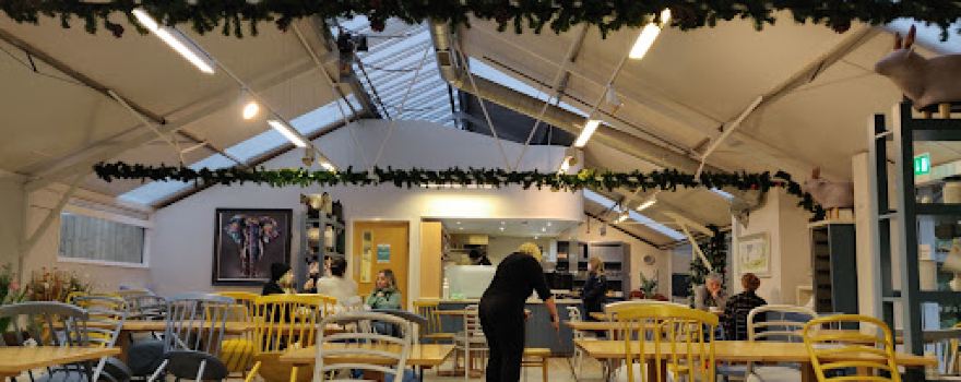 Fonthill Garden Centre