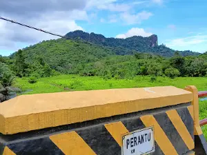 Bukit kuri