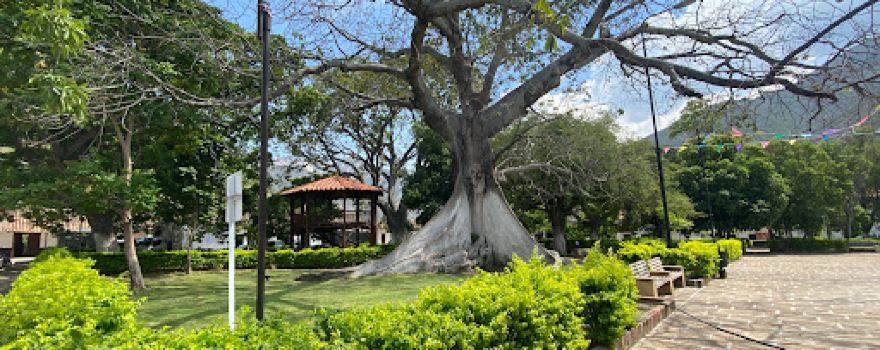 Cepitá Main Park