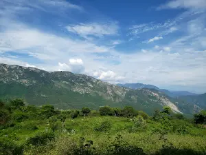 Casa de Los Venados y el Mezcal