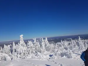 Hereford summit