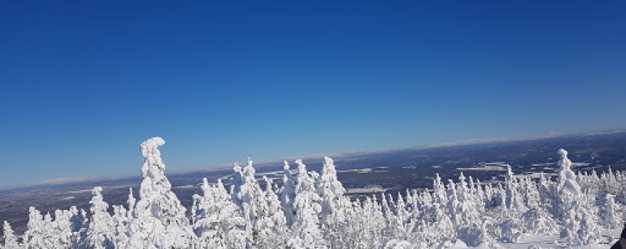 Hereford summit