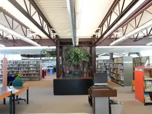 Bibliothèque d'Amos