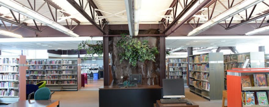 Bibliothèque d'Amos
