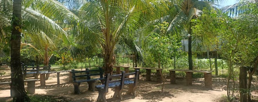LTA Garden