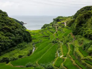 Terraced Rice Fields of Hamanoura