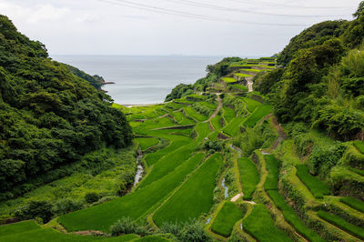 Terraced Rice Fields of Hamanoura
