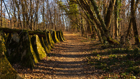 Ligne fortifiée de l'Aubonne